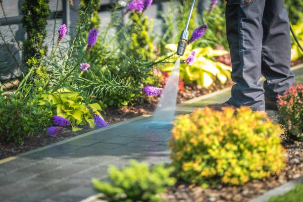 Best Spring Cleaning  in Cherryvale, SC